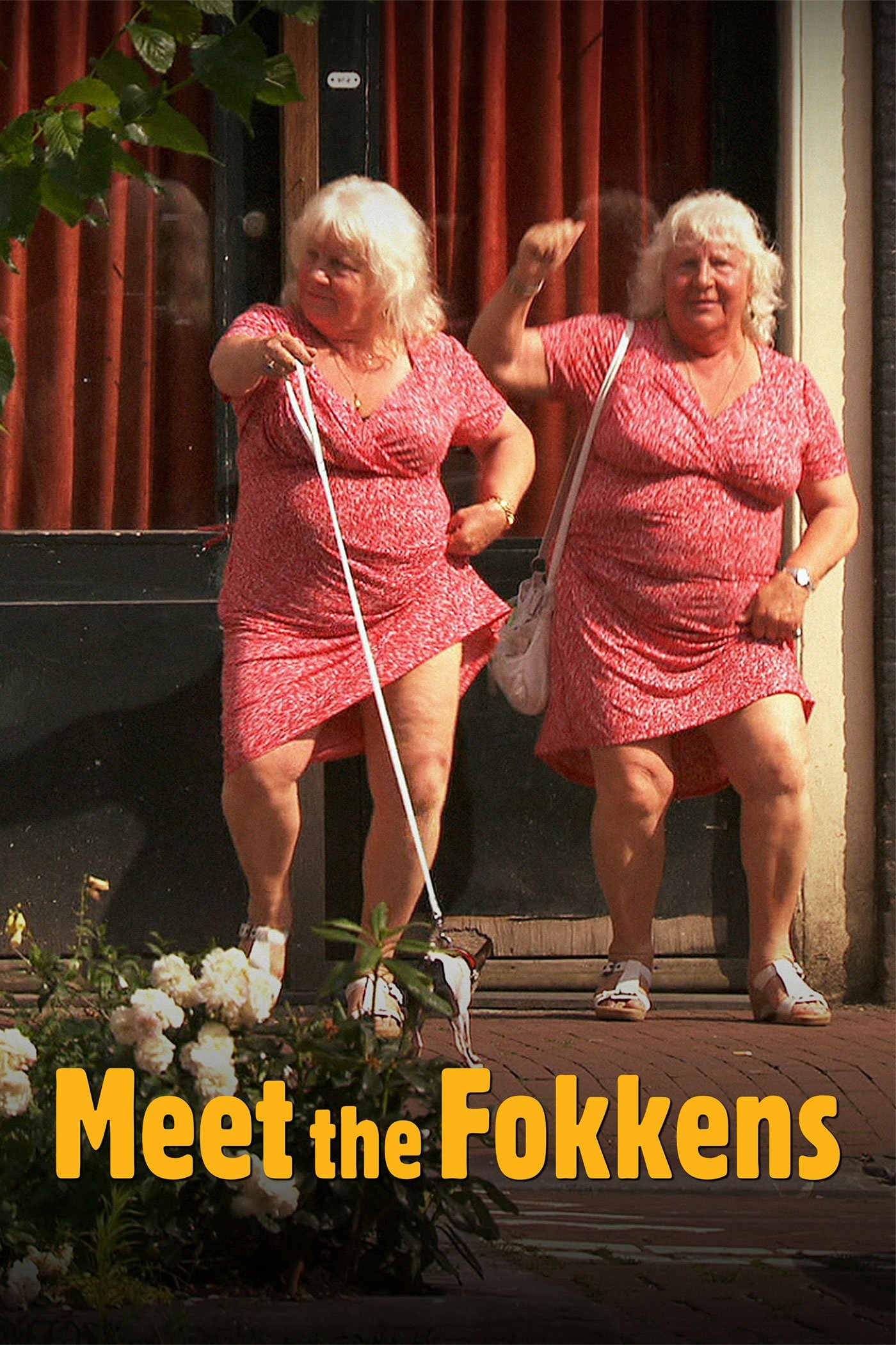 با Fokkens ملاقات کنید