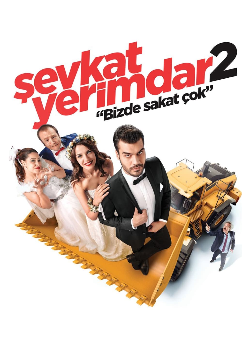 şevkat yerimdar 2